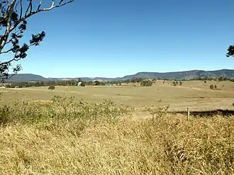 Paddocks, 2015