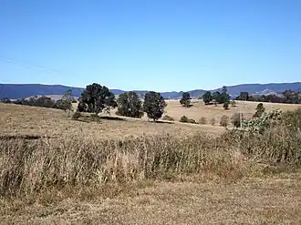 Esk Kilcoy Road, 2015
