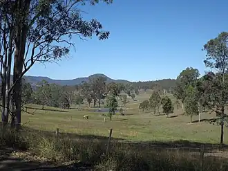 Paddocks along Beaudesert Nerang Road, 2014