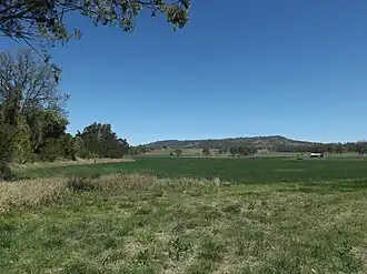 Fields along Albert River, 2014