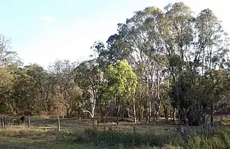 Paddocks, 2014
