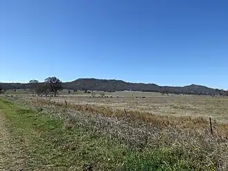 Paddocks along Beaudesert Nerang Road, 2014