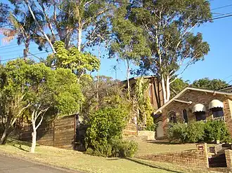 Henry Kendall Avenue, Padstow Heights