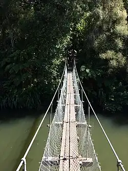 Paengaroa Scenic Reserve, viewed from across the Hautapu River