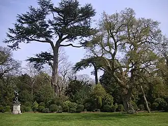 The central lawn of the Amphitheatre, the setting of the Sabine Group