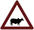 Livestock animals