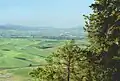 Palouse
