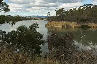 Panatana Rivulet
