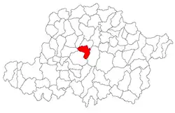 Location in Arad County