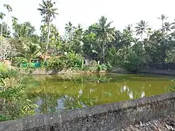 Pandavarkavu Devi Temple pond