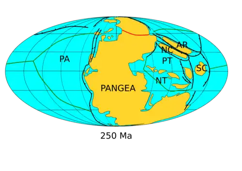 Paleogeography of the Earth at the Permian–Triassic boundary, around 250 Ma. Siberia has fused with Pangaea to complete the assembly of the supercontinent.
