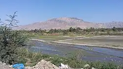 Paniala Toy