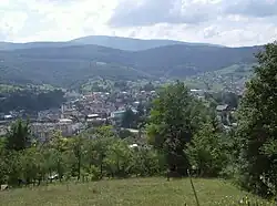 Panoramic view