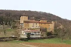 The château of Antouillet, in Panossas
