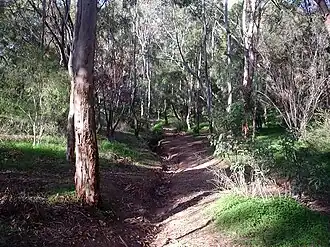 A gully next to Para Hills primary school