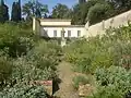 The hot-house called the Stufa di mugherini, at the end of the ortaccio, was built in the 18th century to nurture exotic flowers such as the jasminum sambac.