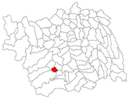 Location in Bacău County