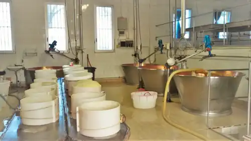 Copper-lined vats for the production of Parmigiano Reggiano