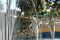 Dolphin Fountain