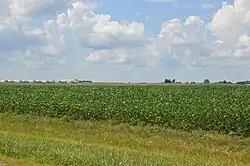 Fields south of Hartford