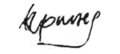 Irinej's signature