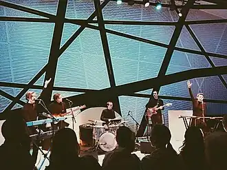 Pavo Pavo live at National Sawdust in 2016
