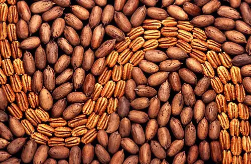 Shelled and unshelled pecans