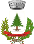 Coat of arms of Pecetto Torinese