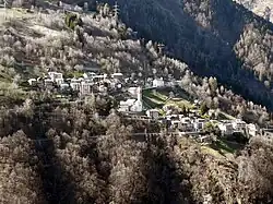 Pedesina