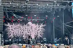 PeelingFlesh performing in May 2025