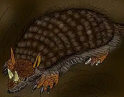 Peltephilus ferox