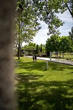 A green park with mature trees and a boardwalk. Sunlight filters through the leaves, and people stand and walk in the distance near open grass.