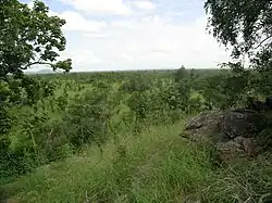Landscape