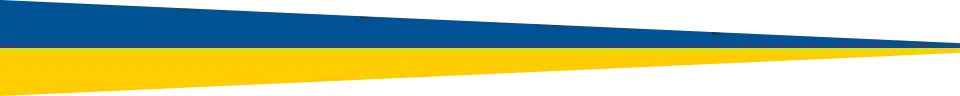 Swedish pennant