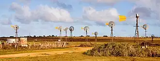 Windmills adjacent to Penong: each is privately owned and supplies houses and farms with water from the Anjutabie Basin.