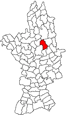Location in Olt County