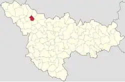 Location in Timiș County