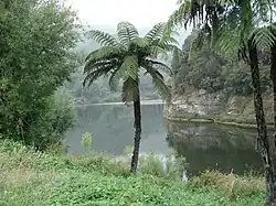 Upriver near Jerusalem (Hiruhārama)