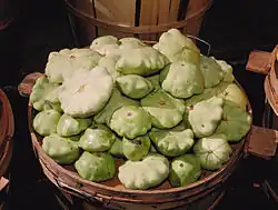 Pattypan squash (Cucurbita pepo)