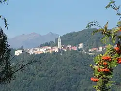 View of Pettinengo