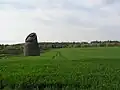 The doocot and field