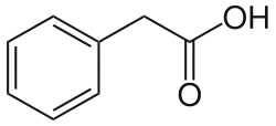 Skeletal structure diagram