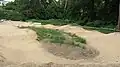 beginner track