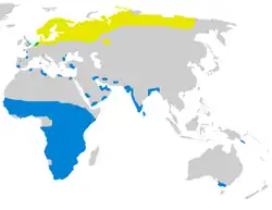 Generally Ruffs migrate north and breed in the northern hemisphere from about May to August, and generally at the end of the breeding season they migrate south and spend several months the subtropics before migrating north again