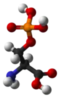 Ball-and-stick model
