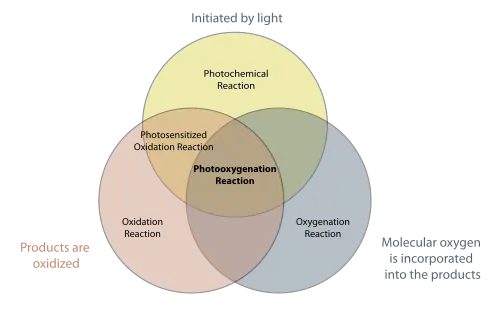 Photooxygenation venn diagram