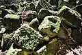 Fallen blocks