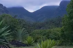 Nahampoana Reserve (includes Dypsis decaryi)