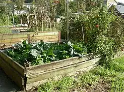 Picardo Farm, Wedgwood neighborhood, Seattle, Washington: A community allotment garden with raised beds for the physically disabled.
