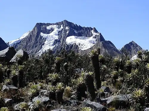 Northwest aspect